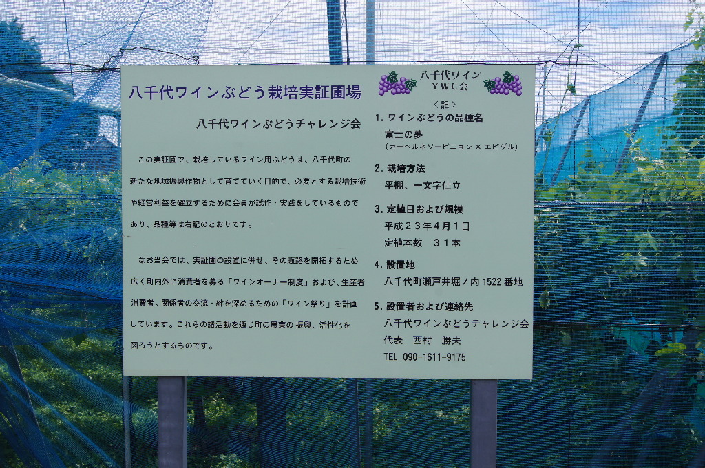 イメージ 5